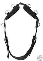 Profi-Longiergurt Neopren mit 14 Ringen