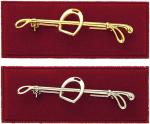 Plastron Nadel silber/gold