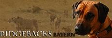 Ridgebacks Bayern